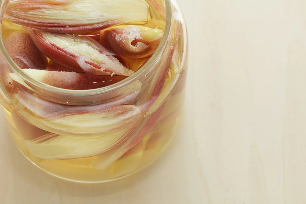 Pickled Myoga Ginger Buds