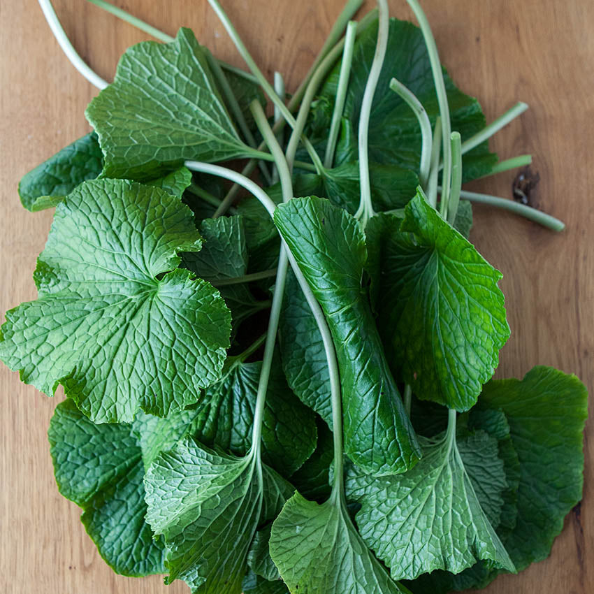 Fresh Wasabi Leaves & Wasabi Stems