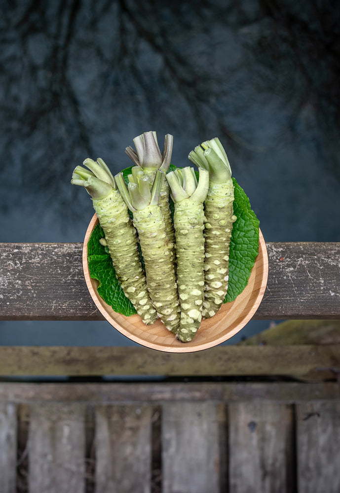 The Wasabi Company | Fresh Wasabi UK Grown | Japanese Ingredients