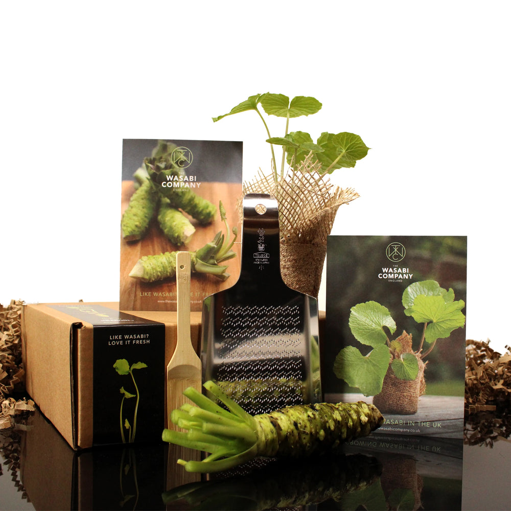 Fresh Wasabi Pro & Grow Kit