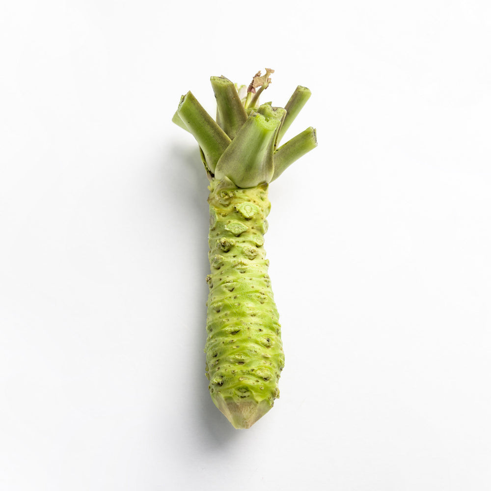 Fresh English Wasabi Rhizome 50g for Bundle